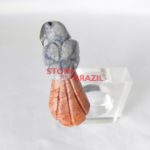 Blue Quartz and Orange Calcite Bird Napkin Holder - Utensils