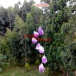 Raw Amethyst Wind Chimes - Mystics