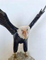 Onyx Eagle with Amethyst Base - Home Decor - Image 4
